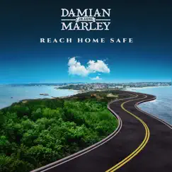 Reach Home Safe - Single by Damian 