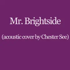 Mr. Brightside (Acoustic) Song Lyrics