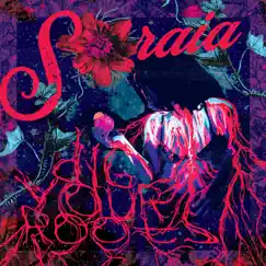 Dig Your Roots by Soraia album reviews, ratings, credits