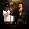 Amor Perdido - Single album lyrics, reviews, download