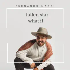 Fallen Star/ What If - Single by Fernando Marri album reviews, ratings, credits