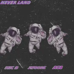 Never Land (feat. Microphone Boss & Ag8) Song Lyrics