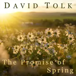 The Promise of Spring - Single by David Tolk album reviews, ratings, credits