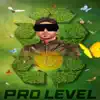 Pro Level - Single album lyrics, reviews, download