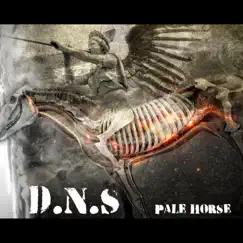 Pale Horse - Single by D.N.S. album reviews, ratings, credits