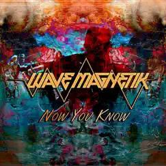 Now You Know - Single by Wave Magnetik album reviews, ratings, credits