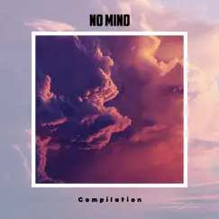 No Mind Compilation by Various Artists album reviews, ratings, credits