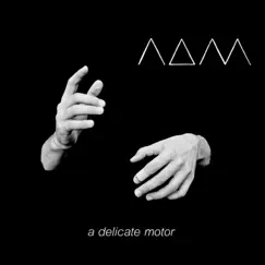 A Delicate Motor by A Delicate Motor album reviews, ratings, credits