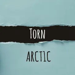 Torn - Single by Arct1c album reviews, ratings, credits