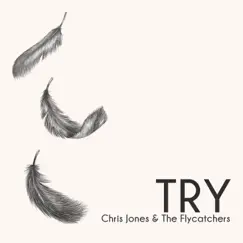 Try (Acoustic) - Single by The Flycatchers album reviews, ratings, credits