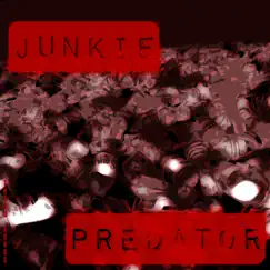 Predator - Single by Junkie album reviews, ratings, credits