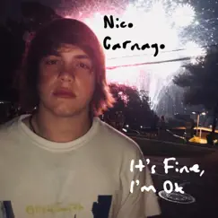 It's Fine, I'm Ok by Nico Carnago album reviews, ratings, credits