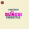 Dumebi Freestyle - Single album lyrics, reviews, download