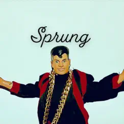 Sprung - Single by 6.16 album reviews, ratings, credits