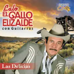 Las Delicias by Lalo El Gallo Elizalde album reviews, ratings, credits