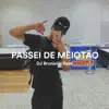 Passei de Meiotão (feat. MC Paulinho DK) - Single album lyrics, reviews, download