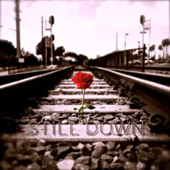 Still Down - Single by Travel Gang album reviews, ratings, credits