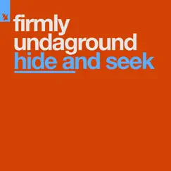 Hide and Seek (Rush Mix) Song Lyrics