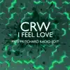 I feel Love (Pete Pritchard Radio Mix) - Single album lyrics, reviews, download