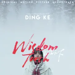 Wisdom Tooth (Original Motion Picture Soundtrack) by Ding Ke album reviews, ratings, credits