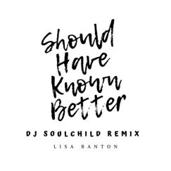 Should Have Known Better (DJ Soulchild Remix) - Single by Lisa Banton album reviews, ratings, credits