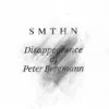 The Disappearance of Peter Bergmann album lyrics, reviews, download