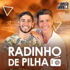 Radinho de Pilha - Single by David e Daniel album reviews, ratings, credits