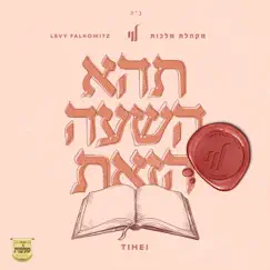 Tihei - Single by Levy Falkowitz album reviews, ratings, credits