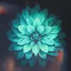 Lotus Flower - Single album lyrics, reviews, download