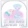 It's Been Heaven Knowing You - Single album lyrics, reviews, download
