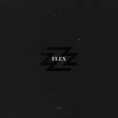 Flex - Single by SwizZz album reviews, ratings, credits