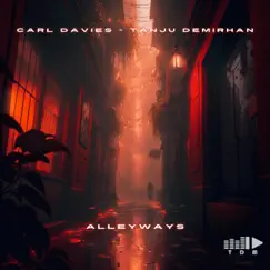 Alleyways (feat. Carl Davies) Song Lyrics