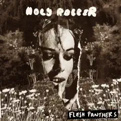 Holy Roller by Flesh Panthers album reviews, ratings, credits