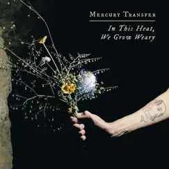 In This Heat, We Grow Weary by Mercury Transfer album reviews, ratings, credits