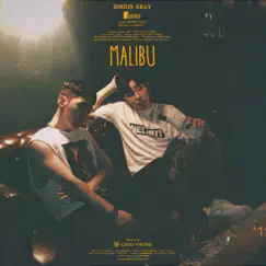 Malibu (feat. GRAY) - Single by DINDIN album reviews, ratings, credits