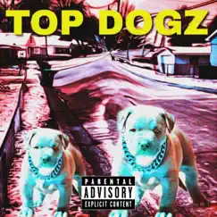 TopDogz - Single by Hensiv & Larsky album reviews, ratings, credits