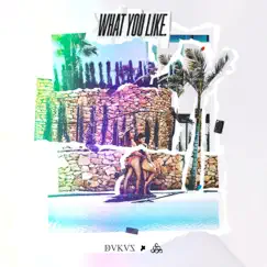 What You Like Song Lyrics