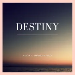 Destiny - Single by LOUIS & 3400doughboy album reviews, ratings, credits