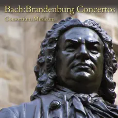 Brandenburg Concerto No. 1 in F Major, BWV 1046: IV. Menuet - Trio I - Menuet da capo - Polacca - Menuet da capo - Trio II - Menuet da capo Song Lyrics