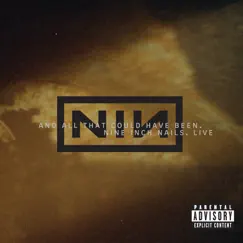 Live: And All That Could Have Been by Nine Inch Nails album reviews, ratings, credits