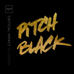 Pitch Black (feat. Coppa) Song Lyrics