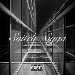 Snitch N***a - Single by Háa Somada album reviews, ratings, credits