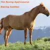 Blazing Saddles - Single album lyrics, reviews, download