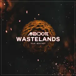 Wastelands (feat. Beechey) Song Lyrics