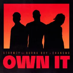 Own It (feat. Burna Boy & CHANGMO) - Single by Stormzy album reviews, ratings, credits