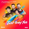 Just Say Yes (feat. Brian Kent) - Single album lyrics, reviews, download