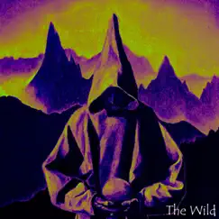 The Wild - Single by Samtar album reviews, ratings, credits