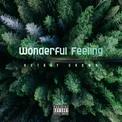 Wonderful Feeling - Single by Hotboycrown album reviews, ratings, credits