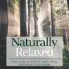 Naturally Relaxed - Rain in the Woods for Study, Sleep, Relaxation & Meditation album lyrics, reviews, download