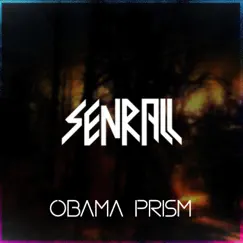 Obama Prism (feat. Strider) - Single by Senrall album reviews, ratings, credits